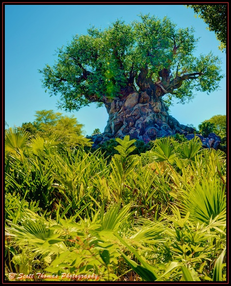 The Tree of Life on Discovery Island in Disney's Animal Kingdom, Walt Disney World, Orlando, Florida