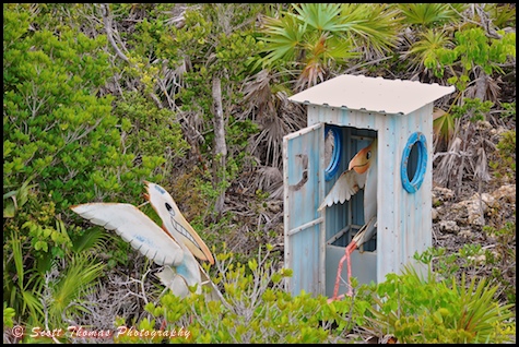 This outhouse is for the birds on Castaway Cay during a Disney Dream cruise.
