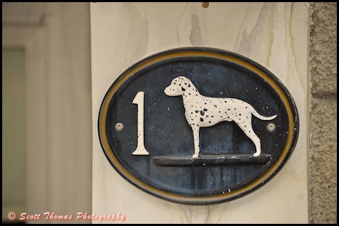 Hidden Mickey on the Dalmation dog address plaque in Disney's Hollywood Studios, Walt Disney World, Orlando, Florida Hidden Mickey on the Dalmation dog address plaque in Disney's Hollywood Studios, Walt Disney World, Orlando, Florida