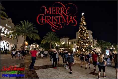 Christmas tree at Disney Springs, Walt Disney World, Orlando, Florida