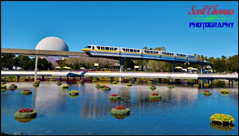 Monorail Yellow moves over the Flower and Garden Festival in Epcot, Walt Disney World, Orlando, Florida