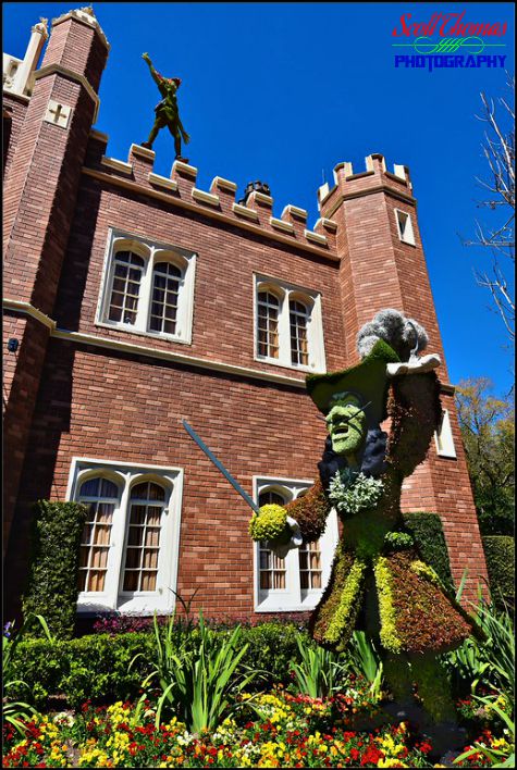 Peter Pan overlooks Captain Hook in United Kingdom pavilion topiaries at Epcot's World Showcase, Walt Disney World, Orlando, Florida