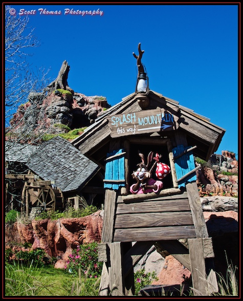 Cooling Off in the Magic Kingdom - AllEars.Net