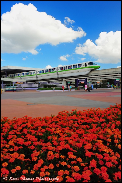 Monorail Green leaving the Ticket and Transportation Center (TTC) on the Resort Hotel line, Walt Disney World, Orlando, Florida. Monorail Green leaving the Ticket and Transportation Center (TTC) on the Resort Hotel line, Walt Disney World, Orlando, Florida.