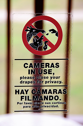 Window Sticker at Animal Kingdom Lodge