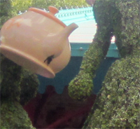 Where in the World #324