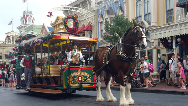 Where in the World Photo Fun