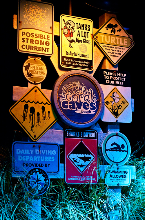 Where in the World Photo Fun