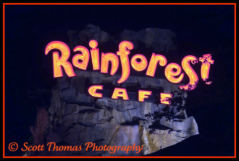 Rainforest Cafe sign in Downtown Disney, Walt Disney World, Orlando, Florida.