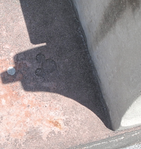 DSC04306.JPG