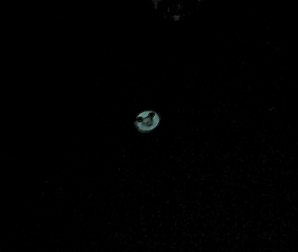 DSC05688.JPG