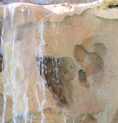 DSC06871.JPG