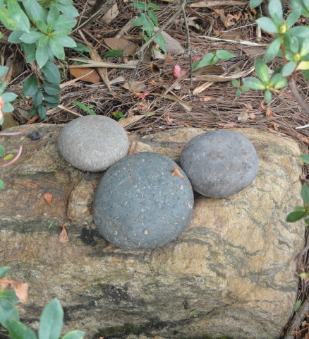 DSC07890.JPG