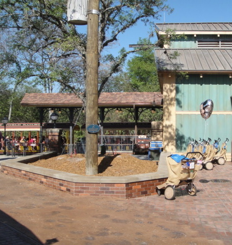 DSC08121.JPG