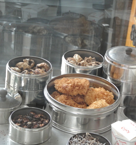 DSC08286.JPG