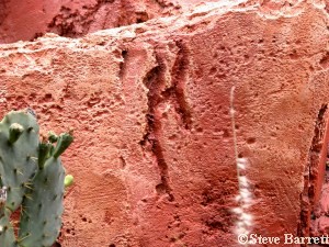 Hidden Tinker Bell at Big Thunder Mountain Railroad