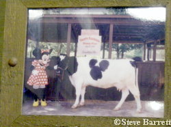 Photo of Minnie Moo