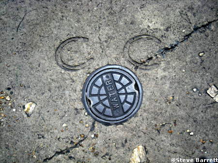 Horse Shoe Hidden Mickey