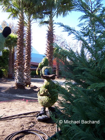 Donald Topiary