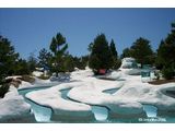 Snow Stormers at Blizzard Beach