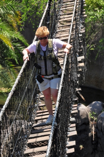 Wild Africa Trek Bridge Crossing