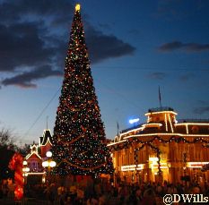 Magic Kingdom Christmas Tree at Dusk