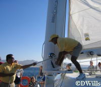 Sails go up!