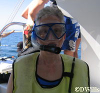 I bring my own mask, snorkel and flippers (thanks Costco!)