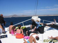 Relaxing on the bow, the Magic off in the distance.