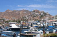 The Marina