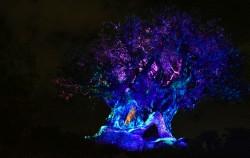 Animal Kingdom Tree of Life Awakens
