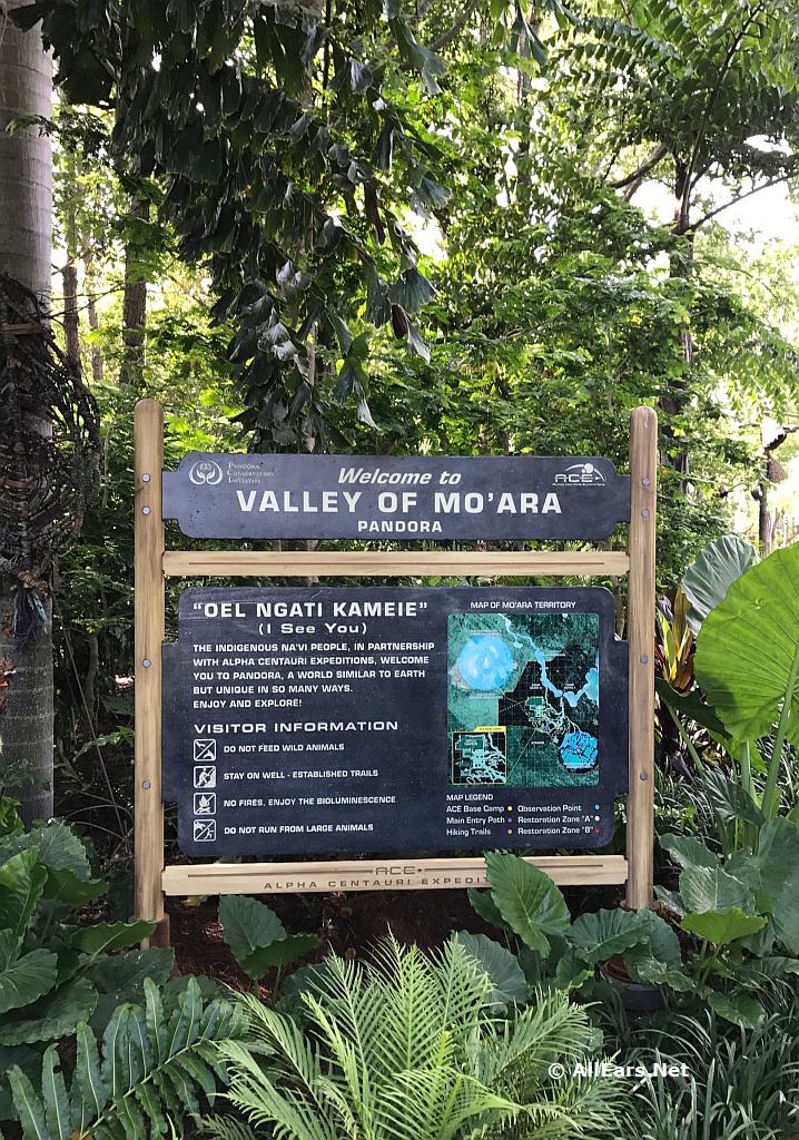 Pandora - The World of Avatar at Disney's Animal Kingdom - Valley of Mo'ara  Photo Gallery - AllEars.Net