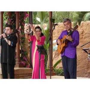 Epcot Festival of the Arts