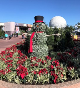 Epcot Festival of the Holidays