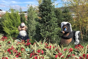 Epcot Festival of the Holidays