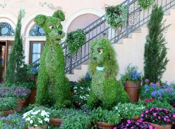  Lady and the Tramp Epcot Flower and Garden Festival