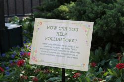 Pooh's Pollinator's Paradise Epcot Flower and Garden Festival