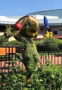 Epcot Flower and Garden
