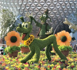 2018 Epcot Flower and Garden Festival Topiary