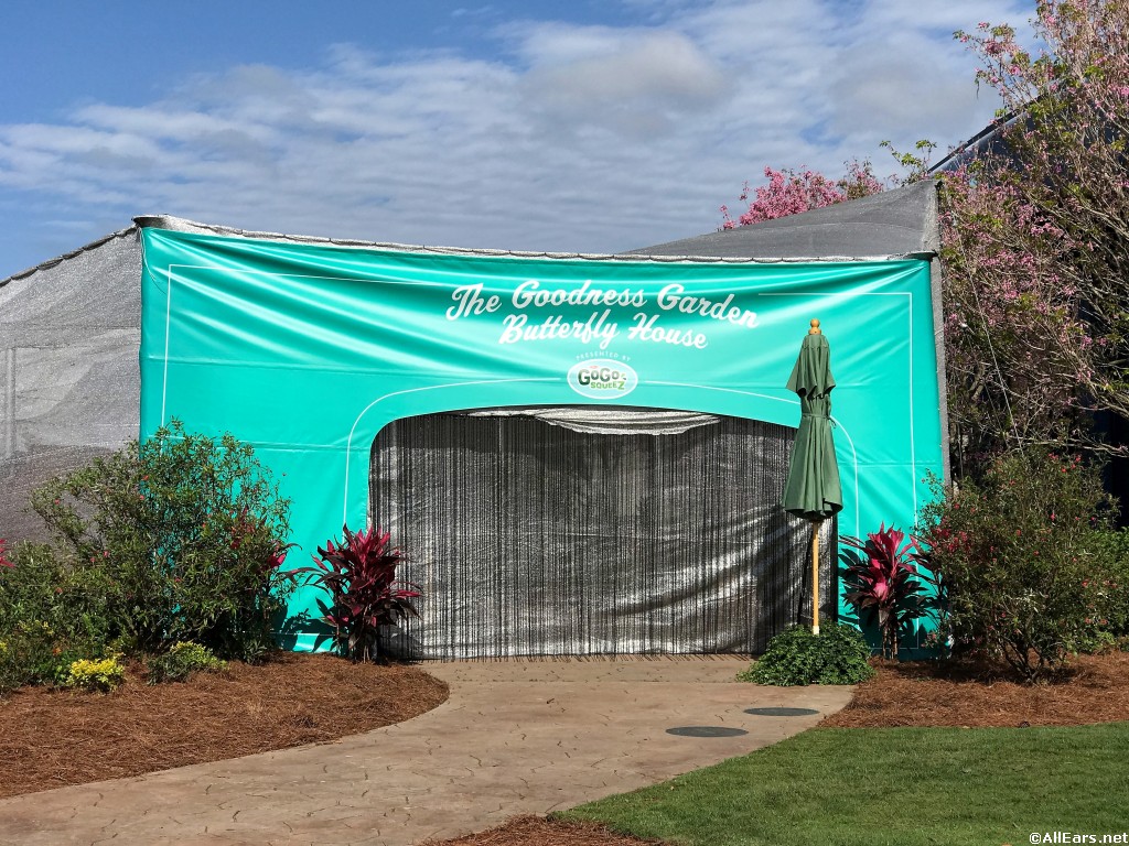 2018 epcot flower and garden festival butterfly house photo gallery