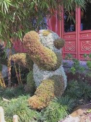 2018 Epcot Flower and Garden Festival Topiary