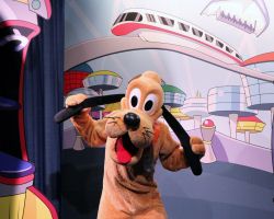 Epcot Character Spot