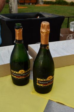 Epcot IllumiNations Sparkling Dessert Party