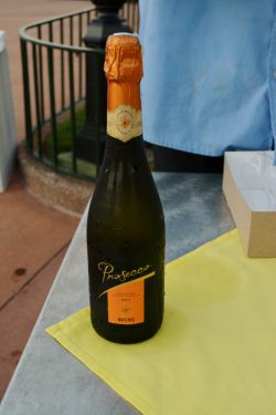 Epcot IllumiNations Sparkling Dessert Party