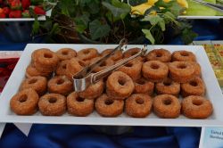 Epcot IllumiNations Sparkling Dessert Party