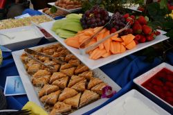 Epcot IllumiNations Sparkling Dessert Party
