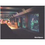 The ride at Nemo's Undersea Adventure