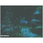 The ride at Nemo's Undersea Adventure