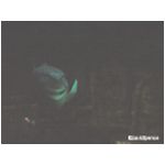 The ride at Nemo's Undersea Adventure