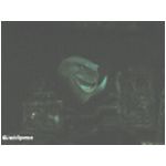 The ride at Nemo's Undersea Adventure